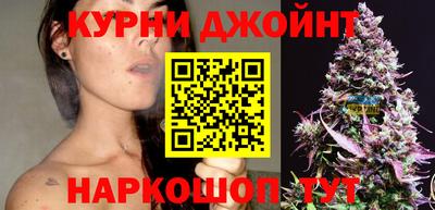 гидра Гай