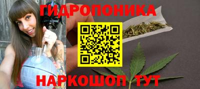 твердый Гатчина