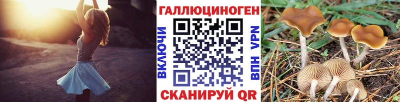 Галлюциногенные грибы GOLDEN TEACHER  цена   Бор 
